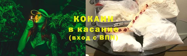 ГАЛЛЮЦИНОГЕННЫЕ ГРИБЫ Абаза